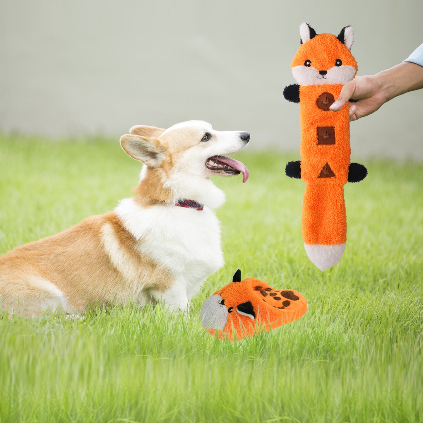 Plush Dog Toy Slipper Soft Squeaky Interactive Toy 2