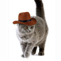 Non Woven Fabric Cat Hat Western Cowboy Style for Cats