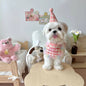 Cotton Polyester Dog Birthday Bib and Hat Set 2 Pack 6