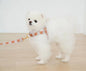 Nylon Dog Harness Adjustable Bear Pattern Lightweight 10