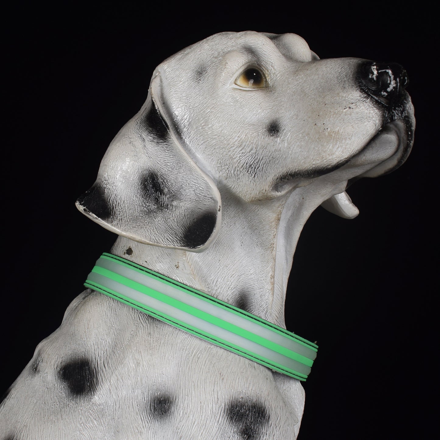 Adjustable Nylon LED Dog Collar Glow in the Dark Light Up 9