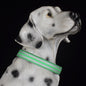 Adjustable Nylon LED Dog Collar Glow in the Dark Light Up 9
