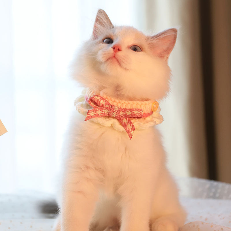 Hand Knitted Dog Collar with Bow Decorative Soft Yarn 2