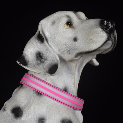 Adjustable Nylon LED Dog Collar Glow in the Dark Light Up 10