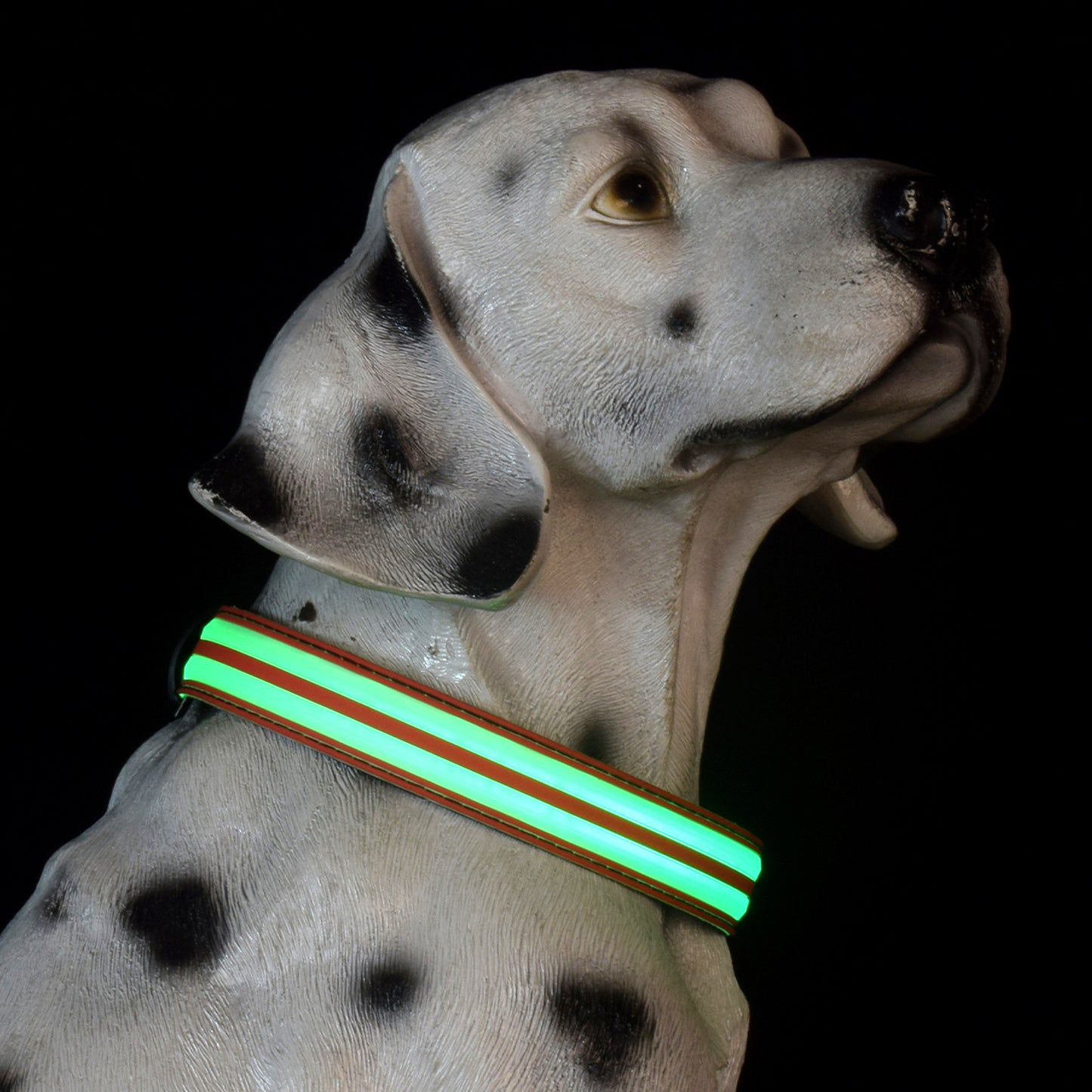 Adjustable Nylon LED Dog Collar Glow in the Dark Light Up 3
