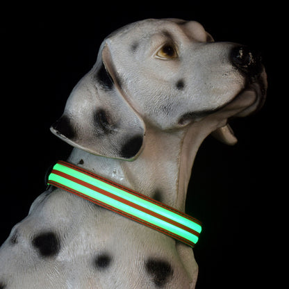 Adjustable Nylon LED Dog Collar Glow in the Dark Light Up 3