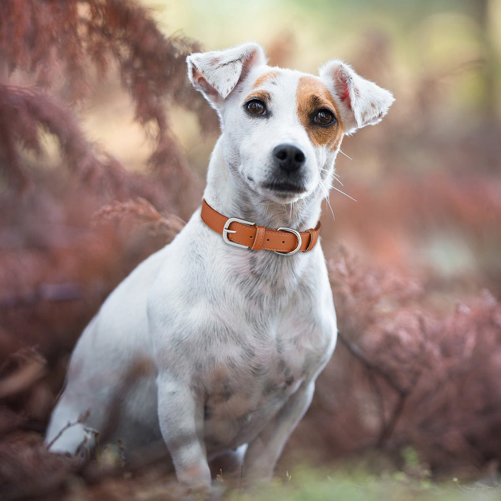 Adjustable PU Microfiber Dog Collar for Medium and Large Dogs 2