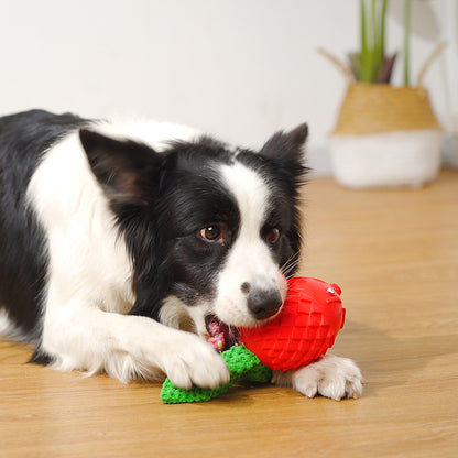 Angry Bird Dog Chew Toy Durable Rubber and Rope 21x10x6cm 5