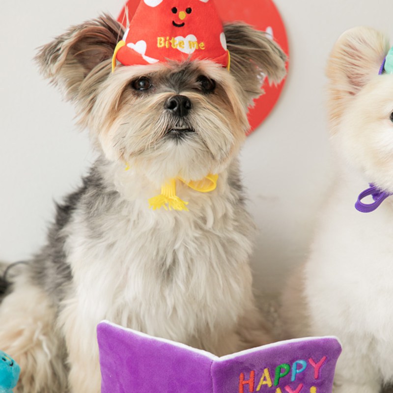 Plush Dog Toy Birthday Greeting Card Squeaky Soft Toy 4