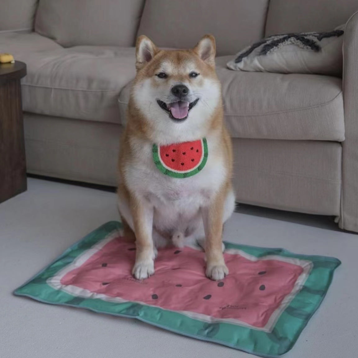 Wool Dog Bandana Watermelon Design Adjustable Size 2