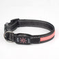 LED Light Up Nylon Mesh Dog Collar Adjustable 6
