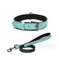Reflective Artificial Leather Dog Collar Adjustable Sizes 10