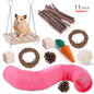Wooden Parrot Chew Toy Combination Set for Birds 11 Pack