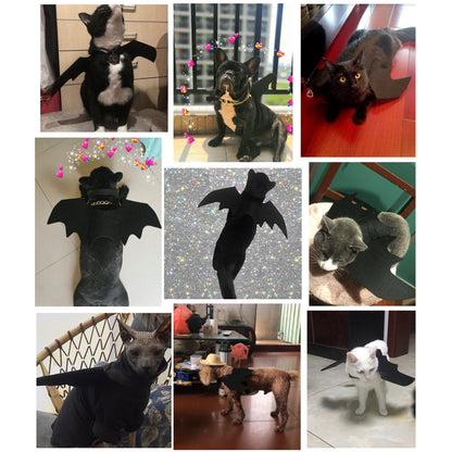 Felt Cloth Cat Halloween Costume Bat Wings for Cats