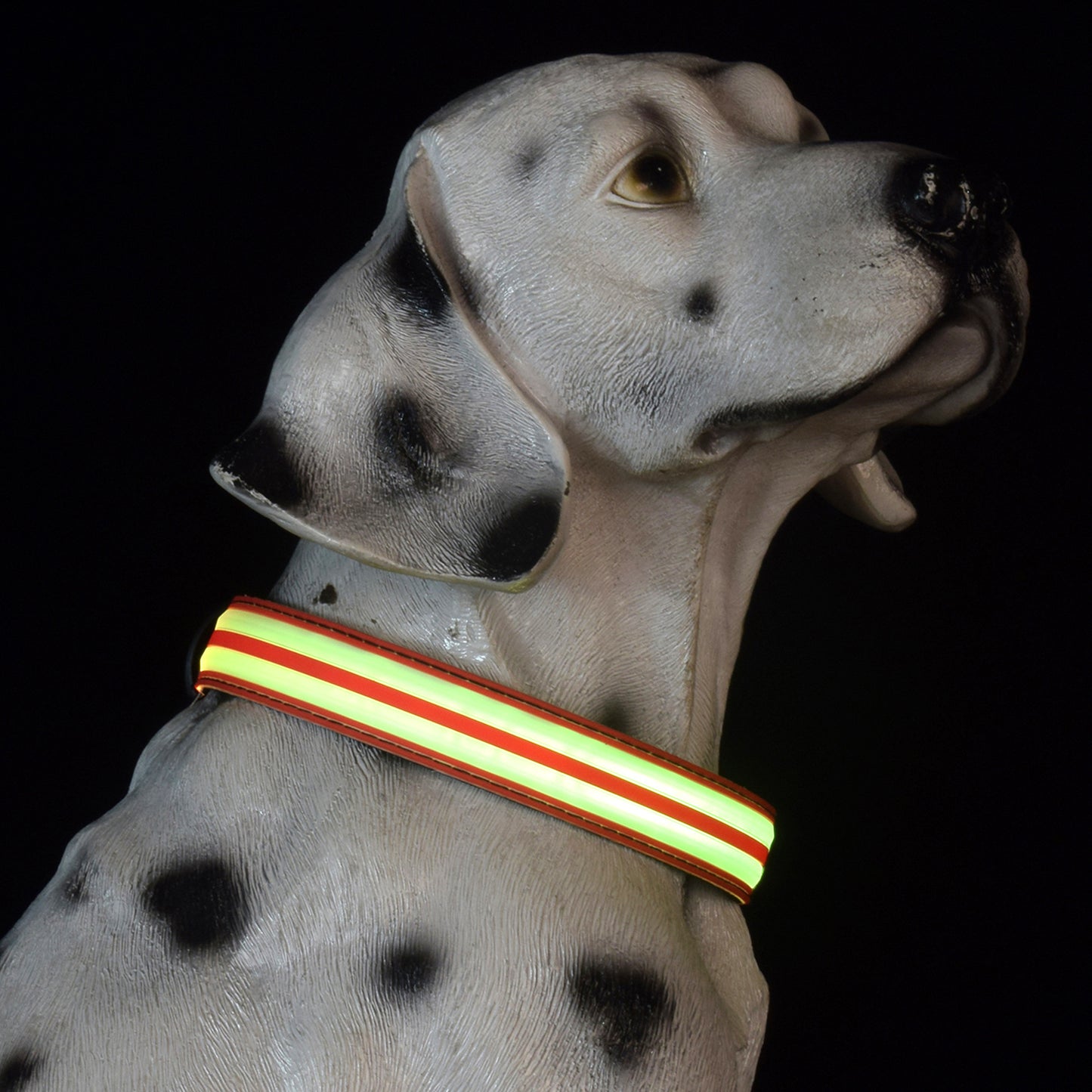 Adjustable Nylon LED Dog Collar Glow in the Dark Light Up 2