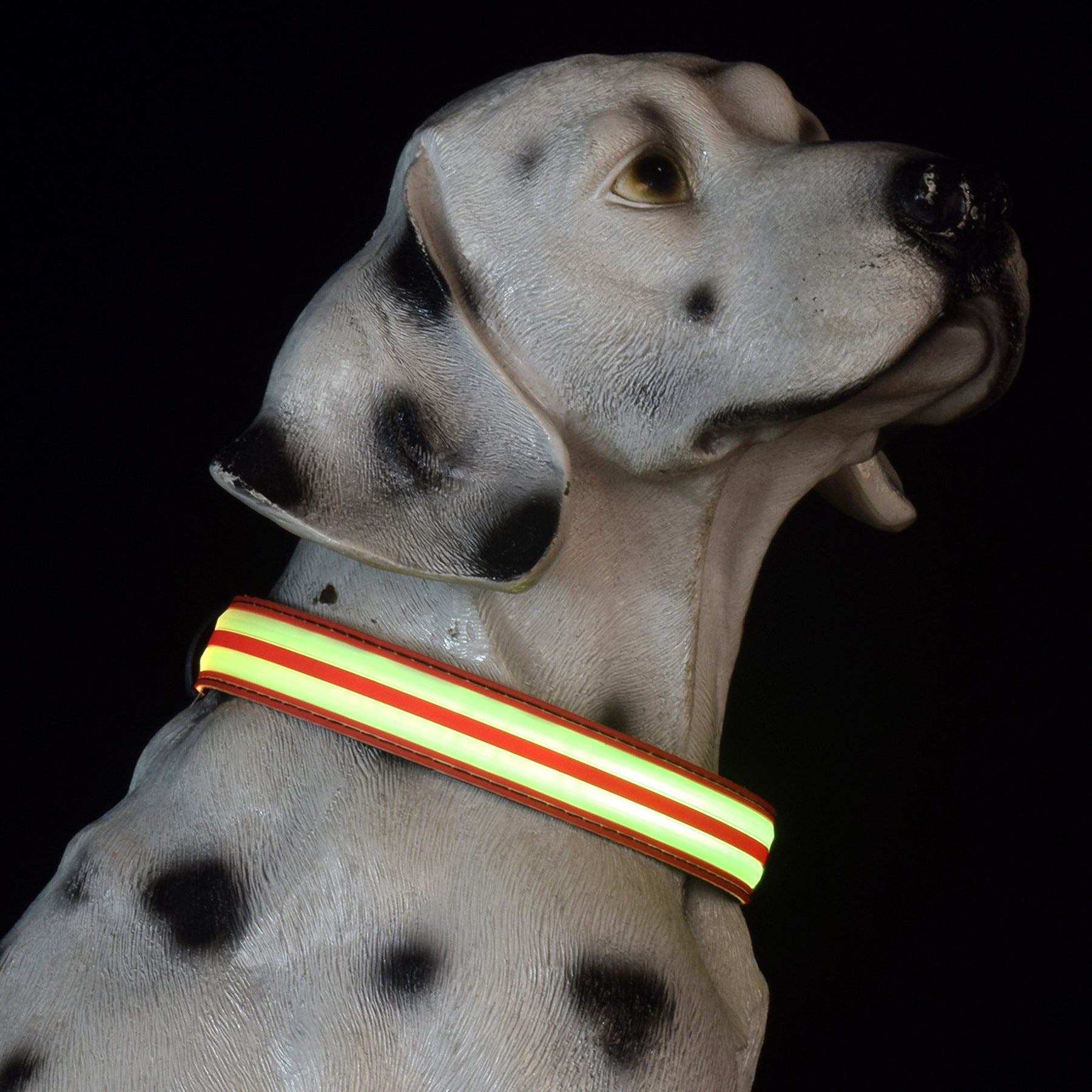 Adjustable Nylon LED Dog Collar Glow in the Dark Light Up 2
