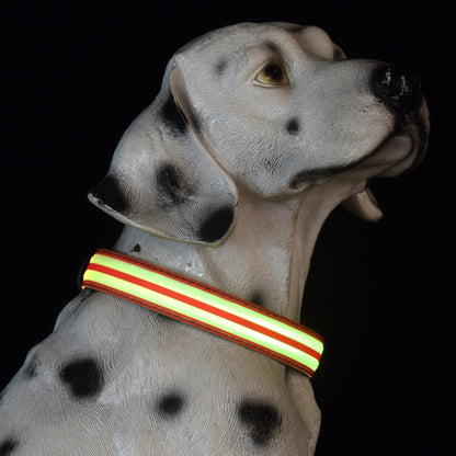 Adjustable Nylon LED Dog Collar Glow in the Dark Light Up 2