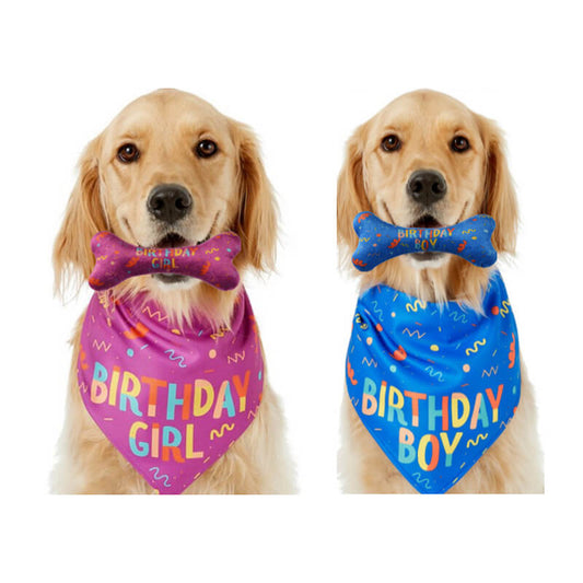 Dog Birthday Bandana and Bone Set Party Accessory