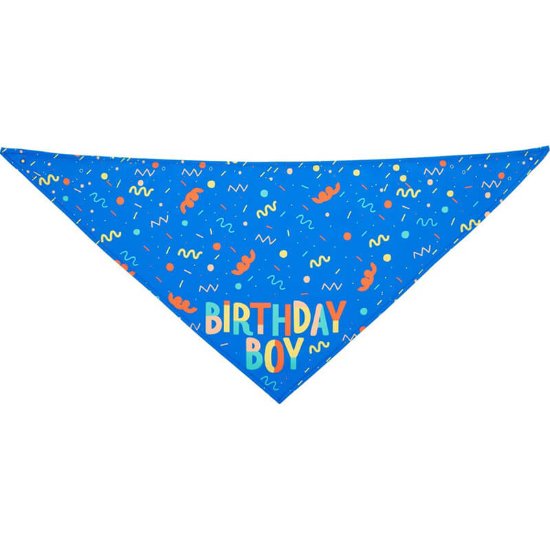 Dog Birthday Bandana and Bone Set Party Accessory