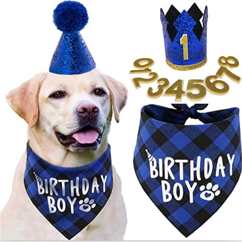 Adjustable Dog Bandana Birthday Scarf Hat and Bow Tie Set