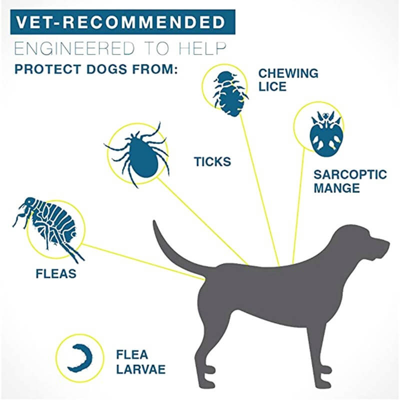 Silicone Flea Collar for Dogs and Cats 8 Months Protection 2