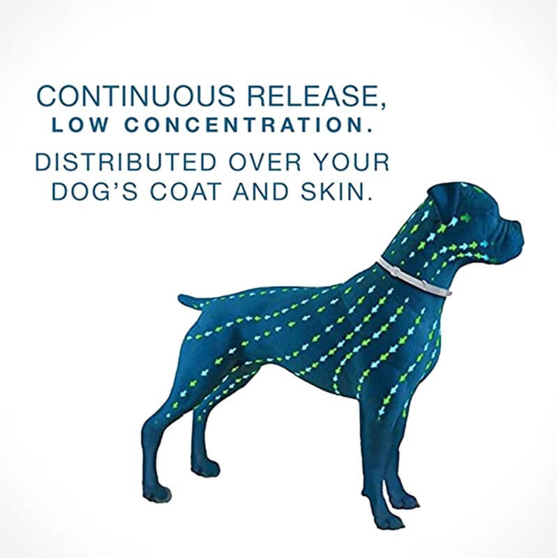 Silicone Flea Collar for Dogs and Cats 8 Months Protection 3