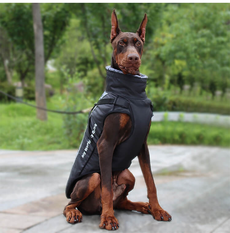 Waterproof Windproof Dog Jacket Winter Coat for Large Dogs 2