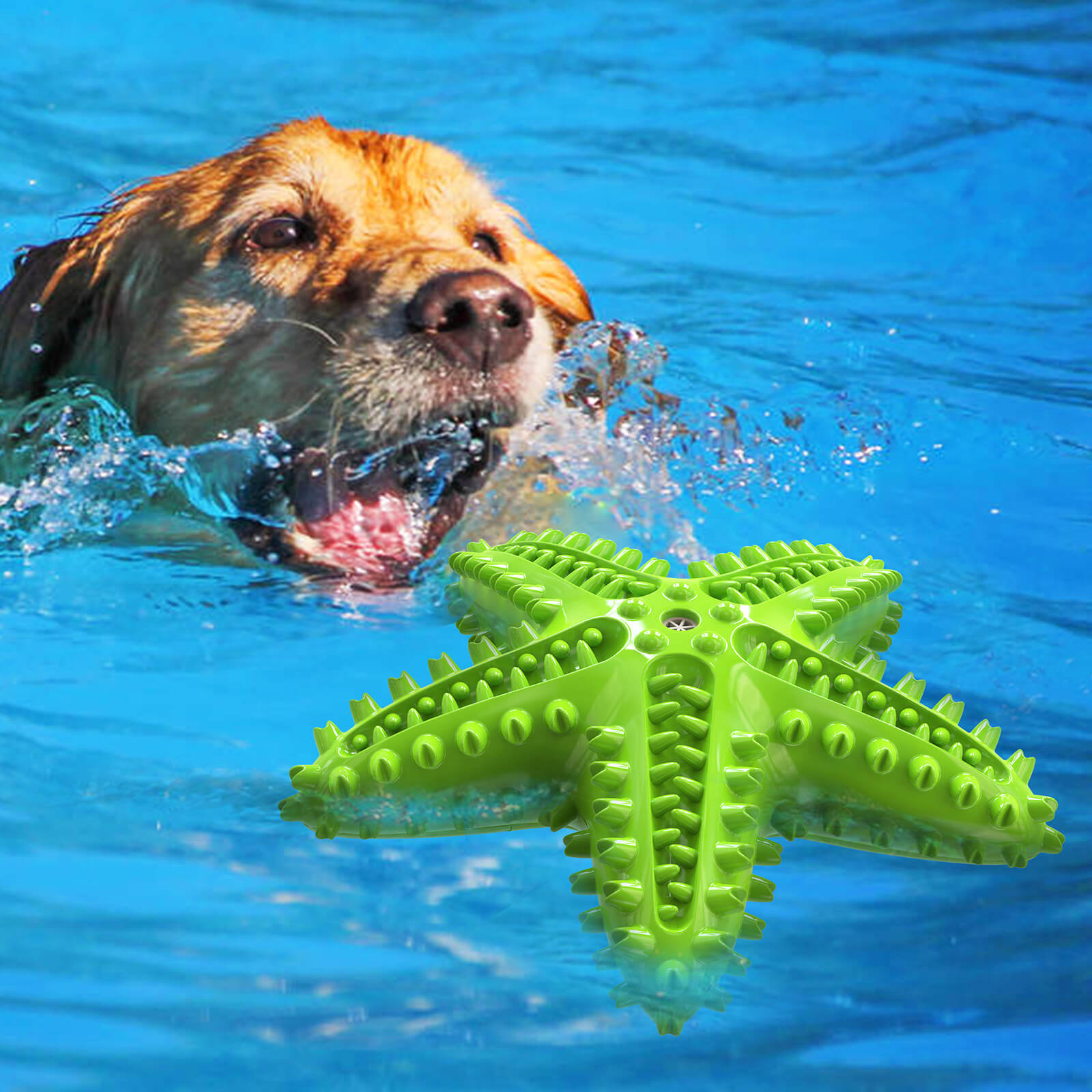 Squeaky Starfish Dog Toy Durable Chew Toy for Dogs 4