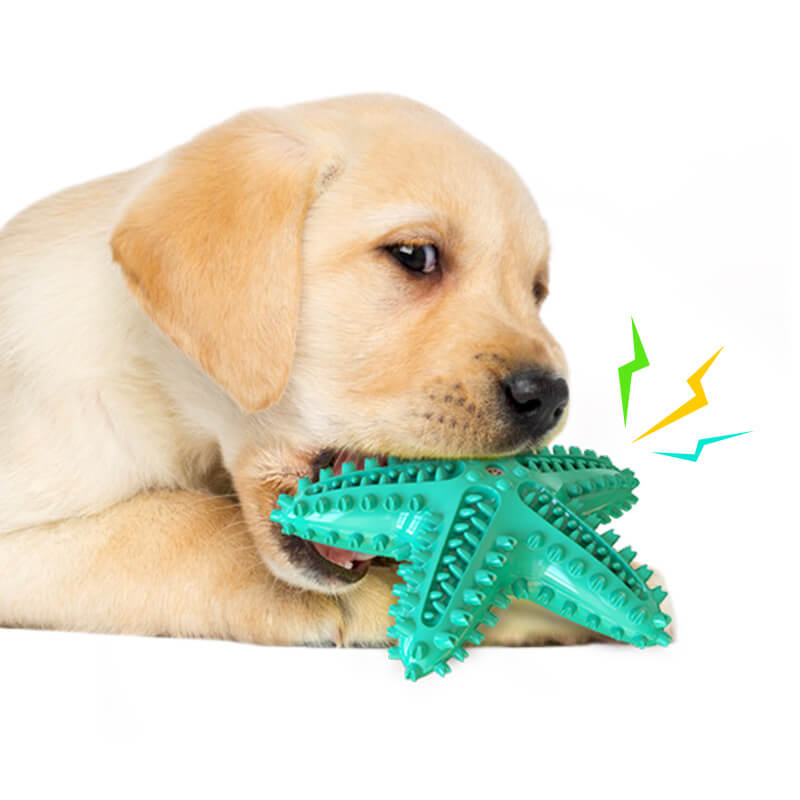 Squeaky Starfish Dog Toy Durable Chew Toy for Dogs 3