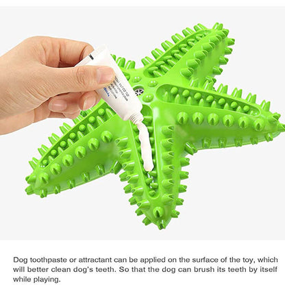 Squeaky Starfish Dog Toy Durable Chew Toy for Dogs 2