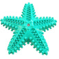 Squeaky Starfish Dog Toy Durable Chew Toy for Dogs