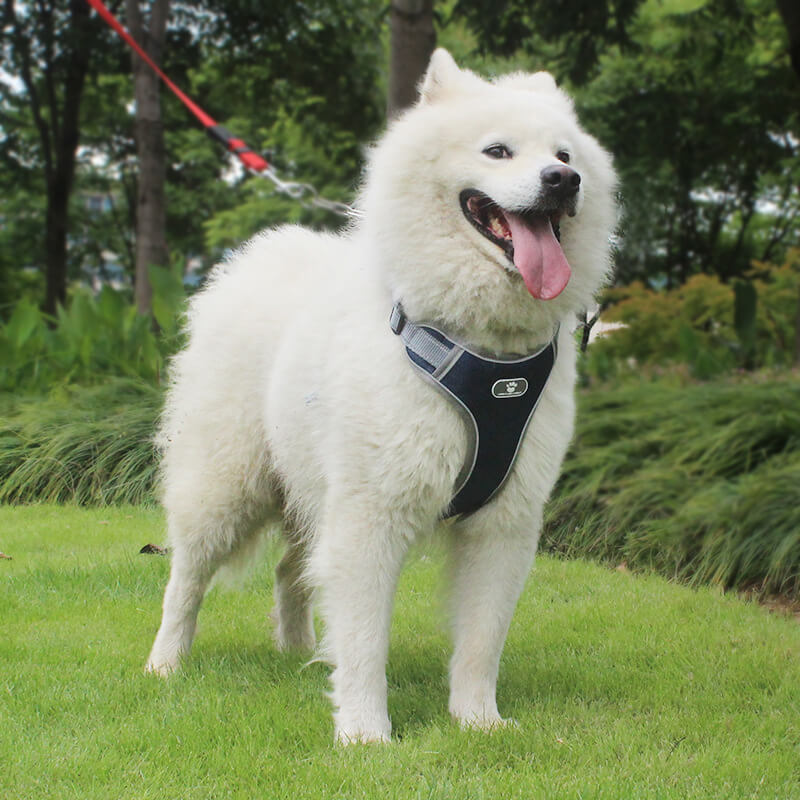 Mesh Ventilation Dog Harness Adjustable with Reflective Trim 7