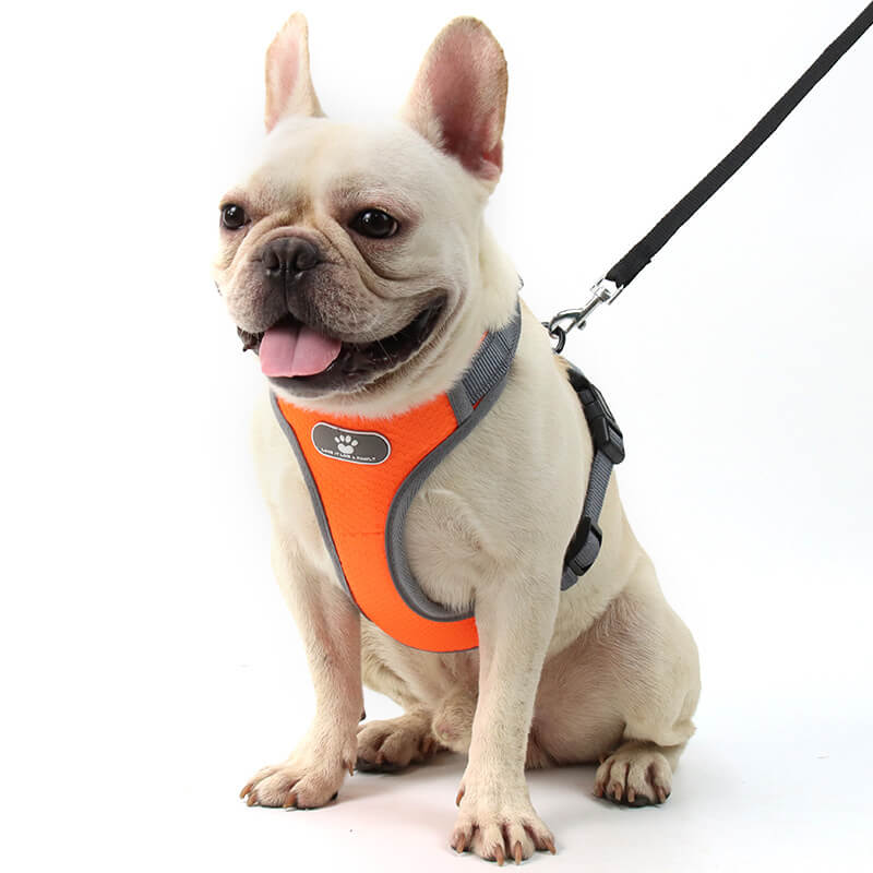 Mesh Ventilation Dog Harness Adjustable with Reflective Trim 4