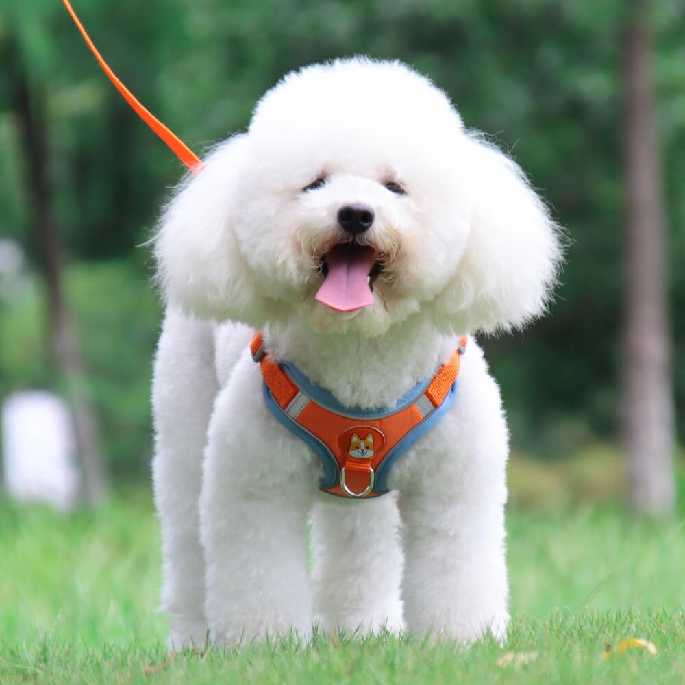 Suede Dog Harness Adjustable Soft Padding for Small Medium Dogs 7