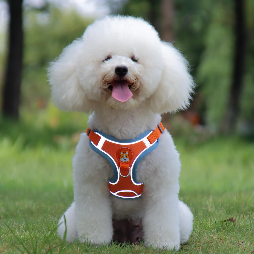 Suede Dog Harness Adjustable Soft Padding for Small Medium Dogs 6