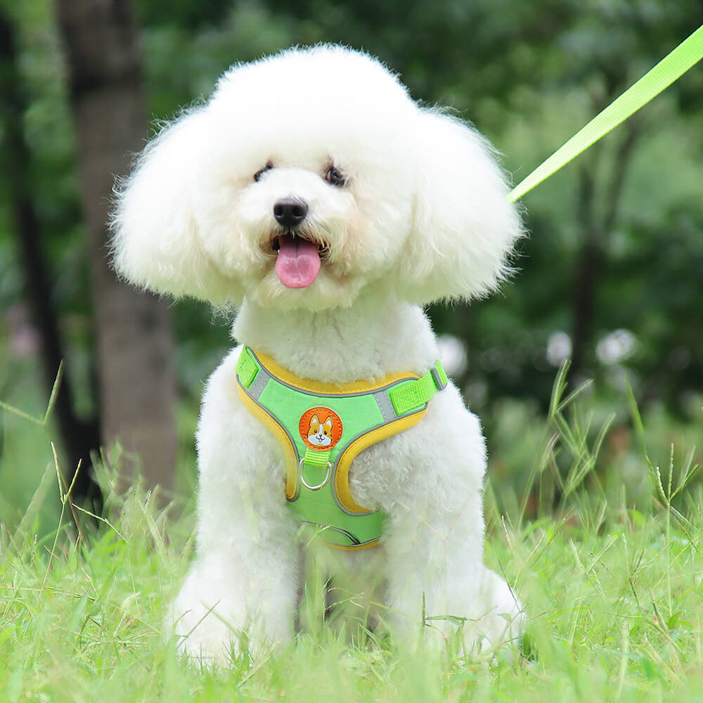 Suede Dog Harness Adjustable Soft Padding for Small Medium Dogs 4