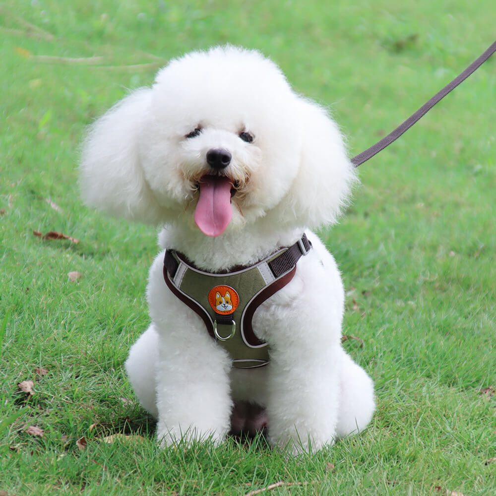 Suede Dog Harness Adjustable Soft Padding for Small Medium Dogs 2