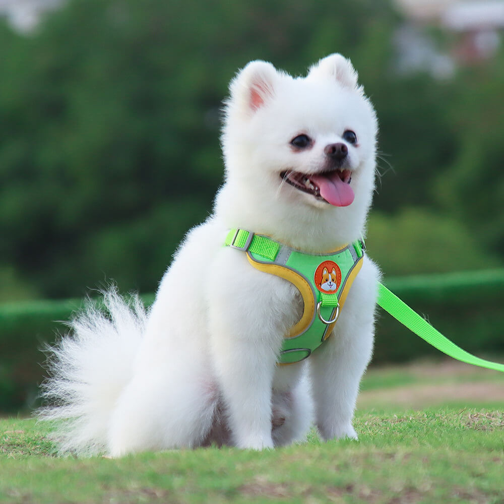 Suede Dog Harness Adjustable Soft Padding for Small Medium Dogs 8