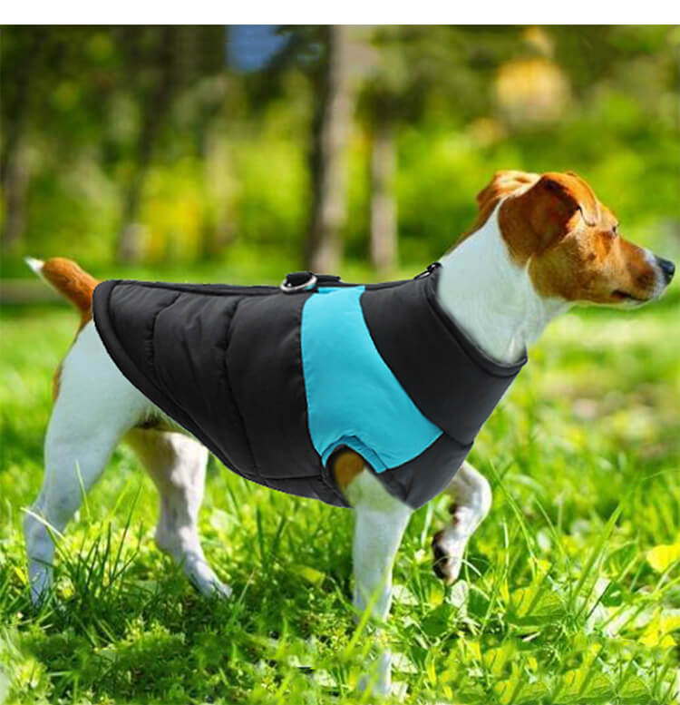 Cotton Dog Vest Soft Comfortable Apparel for Dogs 2