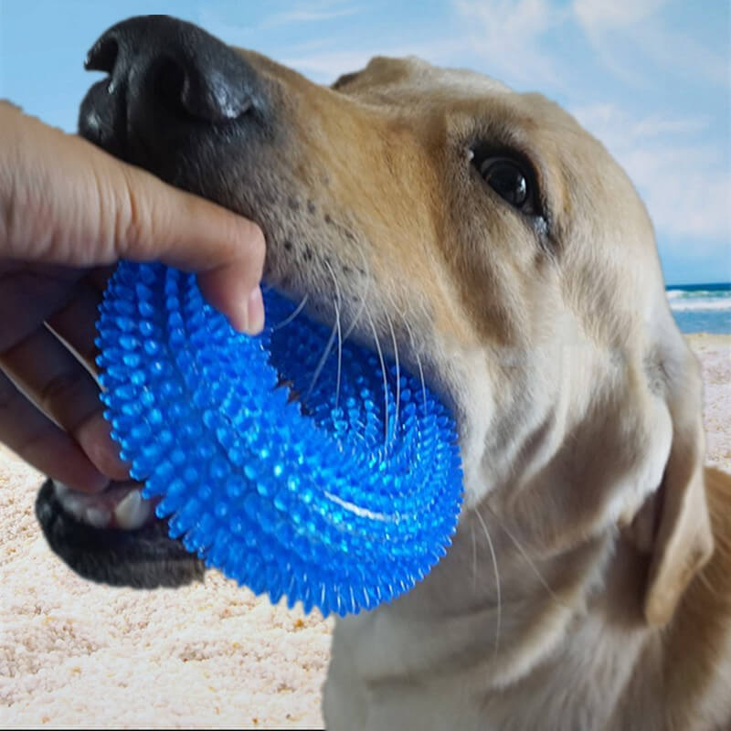Spiky Ring Dog Chew Toy Squeaky TPR Durable 10cm 12cm 4