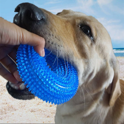 Spiky Ring Dog Chew Toy Squeaky TPR Durable 10cm 12cm 4