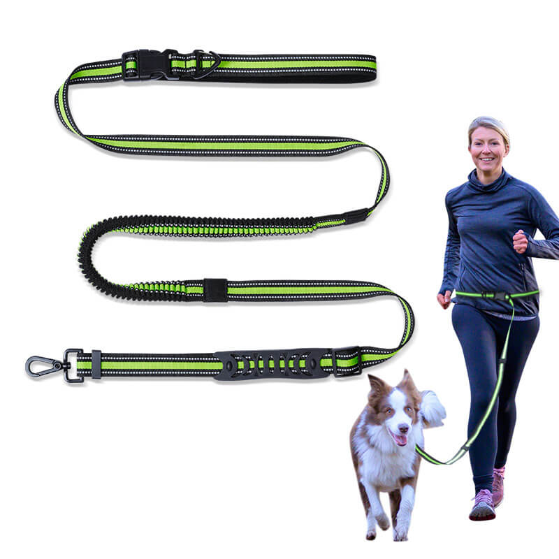 Adjustable Nylon Dog Leash Stretchable Waist Running Traction Rope