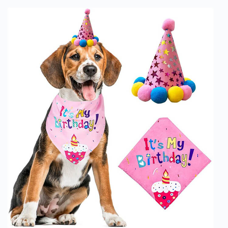 Wholesale dog birthday party supplies 03 1