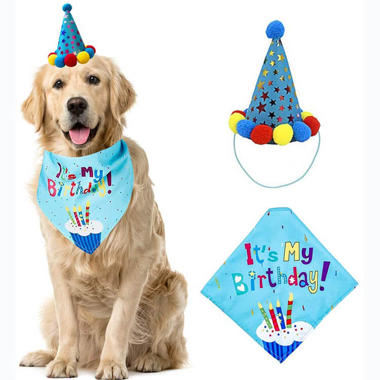 Großhandel Hund Geburtstag Party Zubehör 03 2