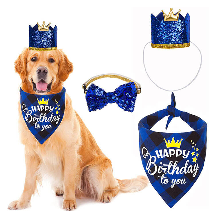 Mayorista fiesta de cumpleaños del perro suministros corona 6