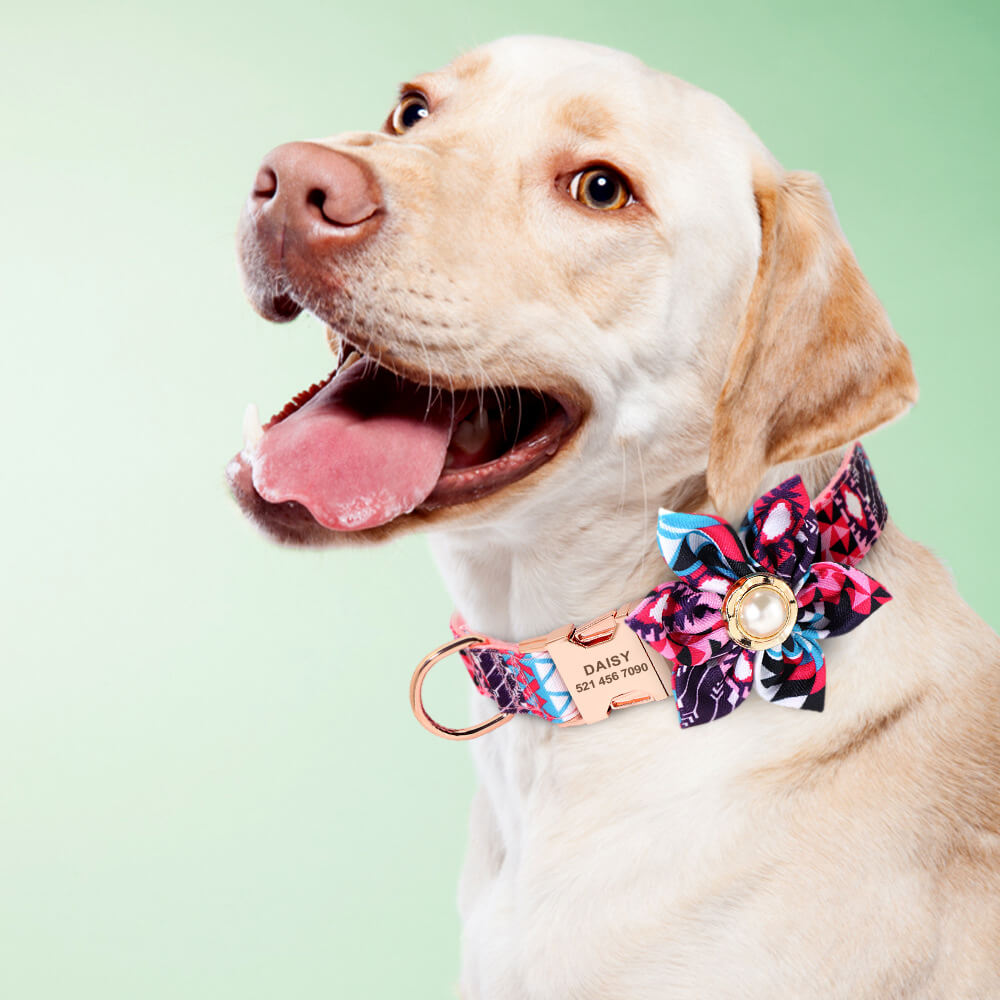 Benutzerdefinierte Hundekatzenhalsbänder kostenlose Lasergravur Name und Telefon 14