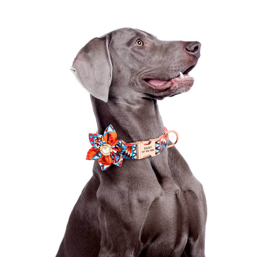 Benutzerdefinierte Hundekatzenhalsbänder kostenlose Lasergravur Name und Telefon 15