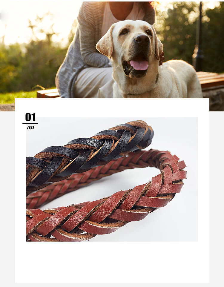 Dog Cowhide Traction Rope with Collar 1