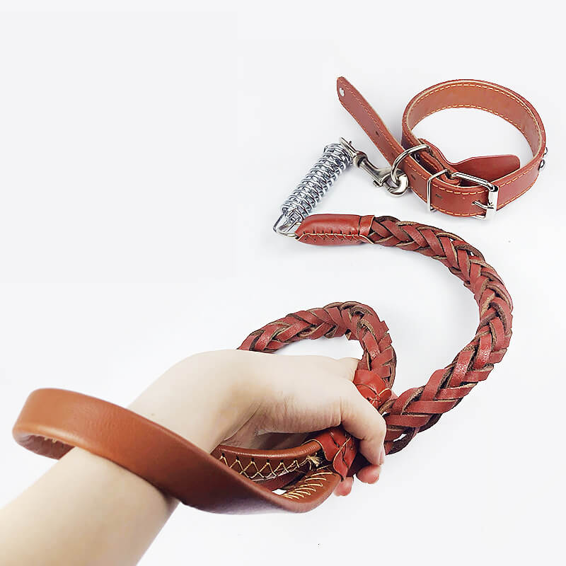Dog Cowhide Traction Rope with Collar 10