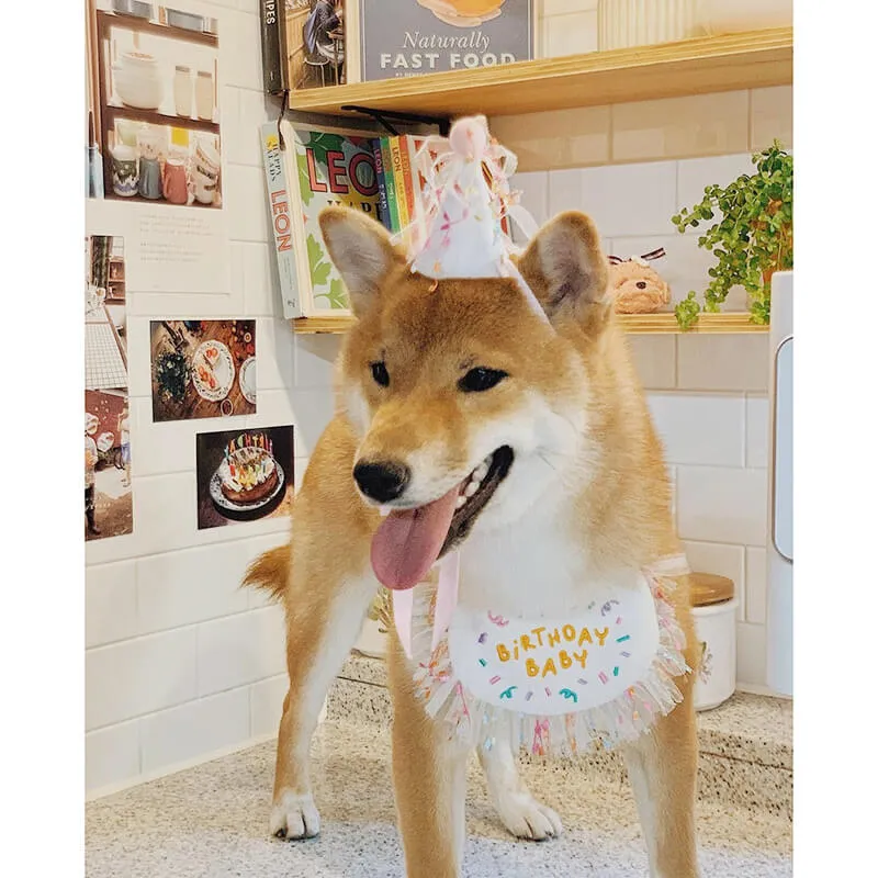 Wholesale Dog Cat Birthday Scarf Hat 10